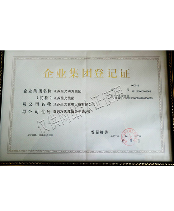 星光动力集团登记证
